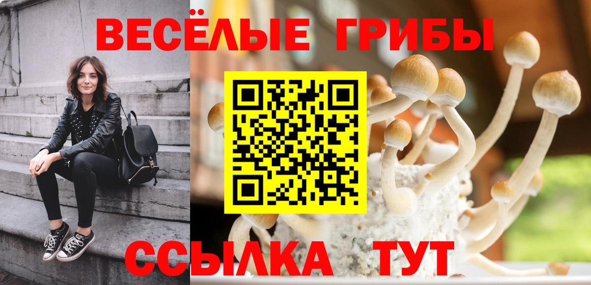 Галлюциногенные грибы мухоморы  Вход с VPN  Псилоцибиновые грибы Psilocybe  Гатчина 